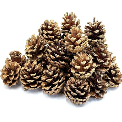 Apragaz 30 PCS Christmas Pine Cones, 1.6-2 Inch Natural Pine Cones, Glitter Pinecones for Vase & Bowl Fillers, Gold Pine Cones for Christmas Tree, Holiday Wreath Ornaments DIY Craft Decorations | Amazon (US)