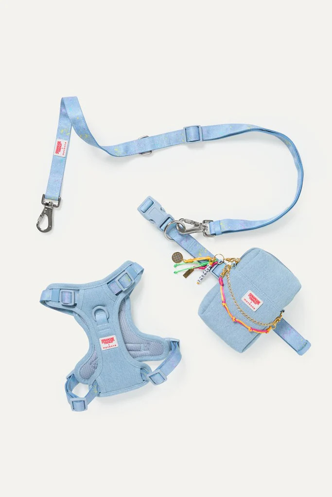 Stranger Things x maxbone Walk Set | max-bone