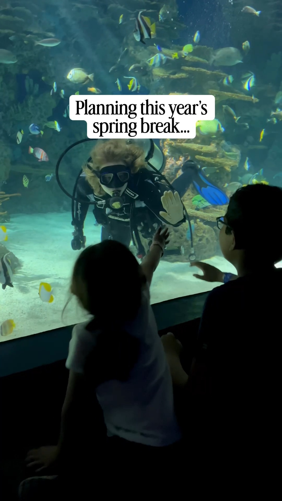 While planning our spring break this year, I started looking back at last year’s family trip to Gatlinburg, Tennessee.

It ended up being one of those trips that had a little bit of everything — scenic mountain views, hiking in the Smoky Mountains, fun attractions for the kids, and even a side trip to Knoxville.

Trips like this are my favorite because they balance adventure and family time so well.

If you’re looking for a spring break idea besides the beach, Gatlinburg is definitely worth saving.

Save this for travel inspiration.


#LTKvlog #LTKTravel #LTKootd