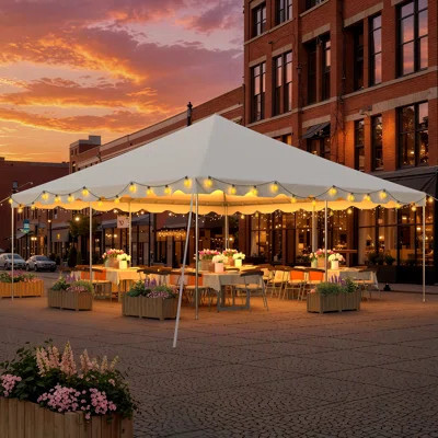 20 X 20 Ft Party Tent, Heavy Duty Canopy With Carry Bags, 480Gsm Pvc Outdoor Shelters | Wayfair North America