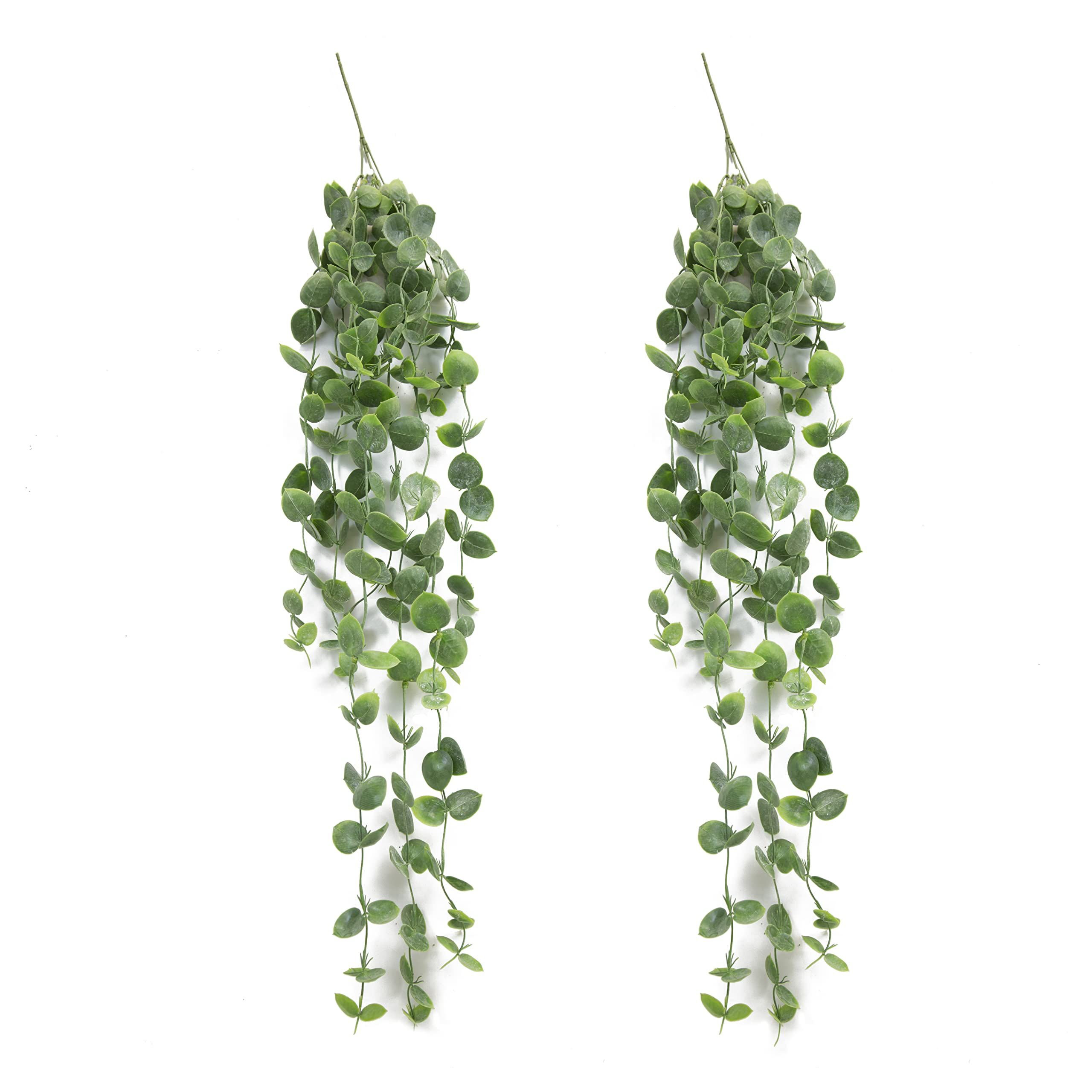 Season’s Need Décor 39inches Long Faux Hanging Plant, Set of 2 Artificial Hanging Dusty Natal Plum L | Amazon (US)