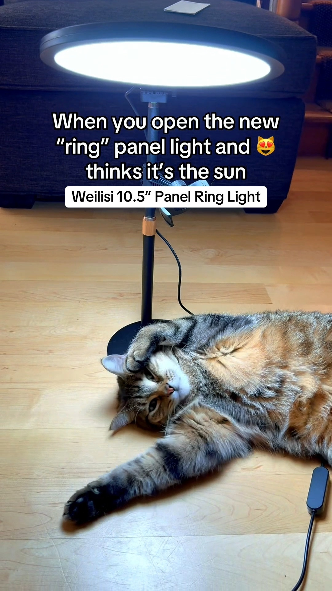 If you need artificial light for filming in your space this light is perfect! $35 and it has a 10.5” ring light panel to light up the room, with mounted adjustable phone holder. My cat thought it was sunlight and napped under it. #creatortools #filminglight #weilisi #Panellight #Ringlight

#LTKHome #LTKSaleAlert #LTKFallSale