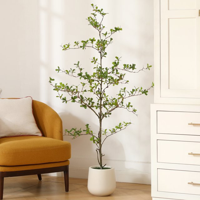 5ft Artificial Black Olive Tree with 9 inch White Planter, Tall Fake Shady Lady Tree for Indoor H... | Walmart (US)