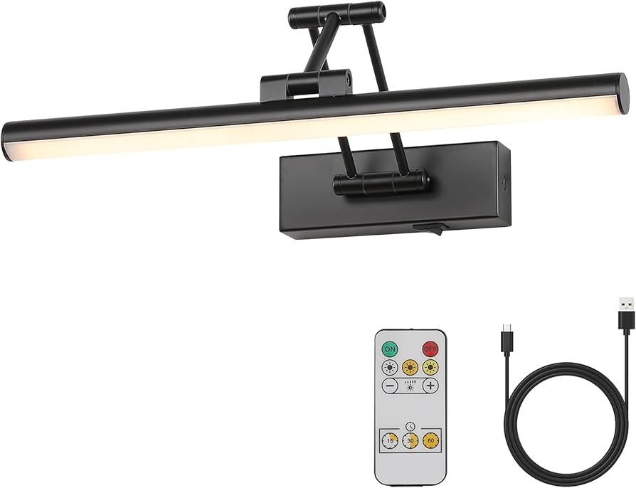 Joossnwell Battery Operated Picture Light Wireless Picture Lights for Paintings with Remote 15.5"... | Amazon (US)