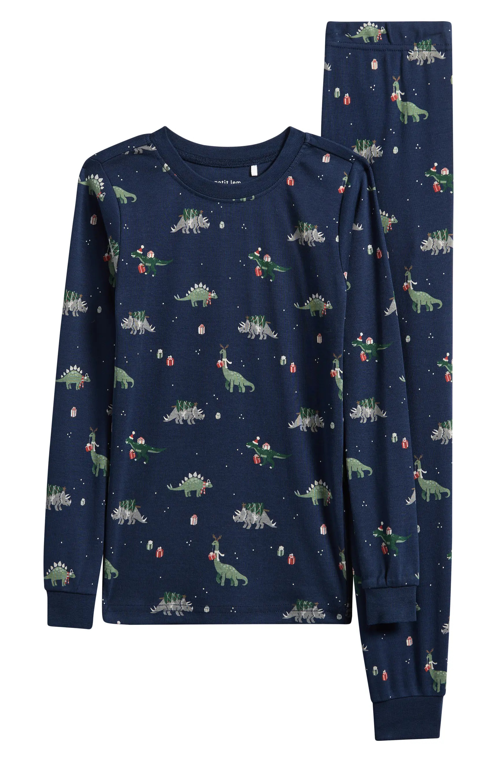 Kids' Holiday Dinosaur Print Fitted Organic Cotton Two-Piece Pajamas | Nordstrom