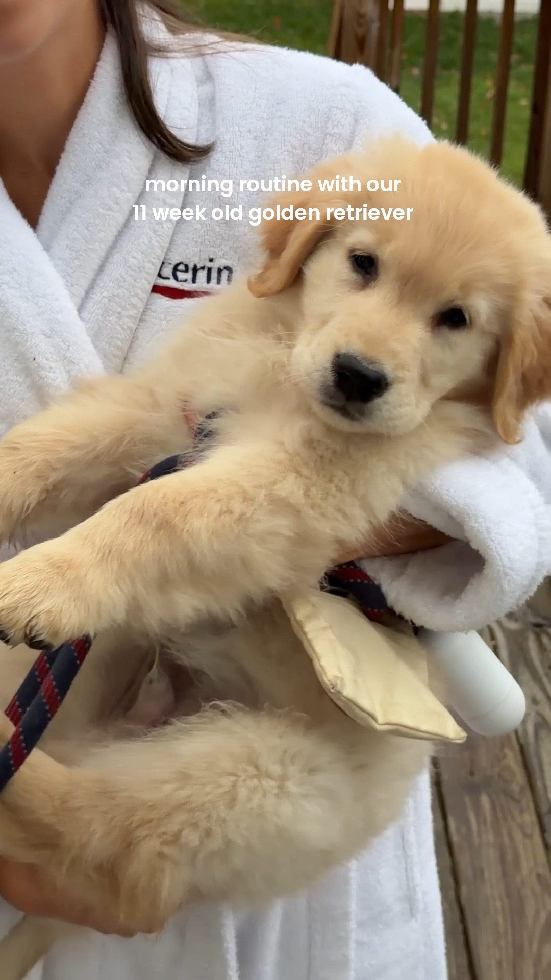 [11/10/25] morning routine with Laird! Highly recommend rain boots for taking your pup out! So practical to slip on and wash if you step in anything / gets muddy. I’d maybe recommend a shorter height, but love all options! 

#LTKdayinmylife #LTKPets #LTKmorningroutine