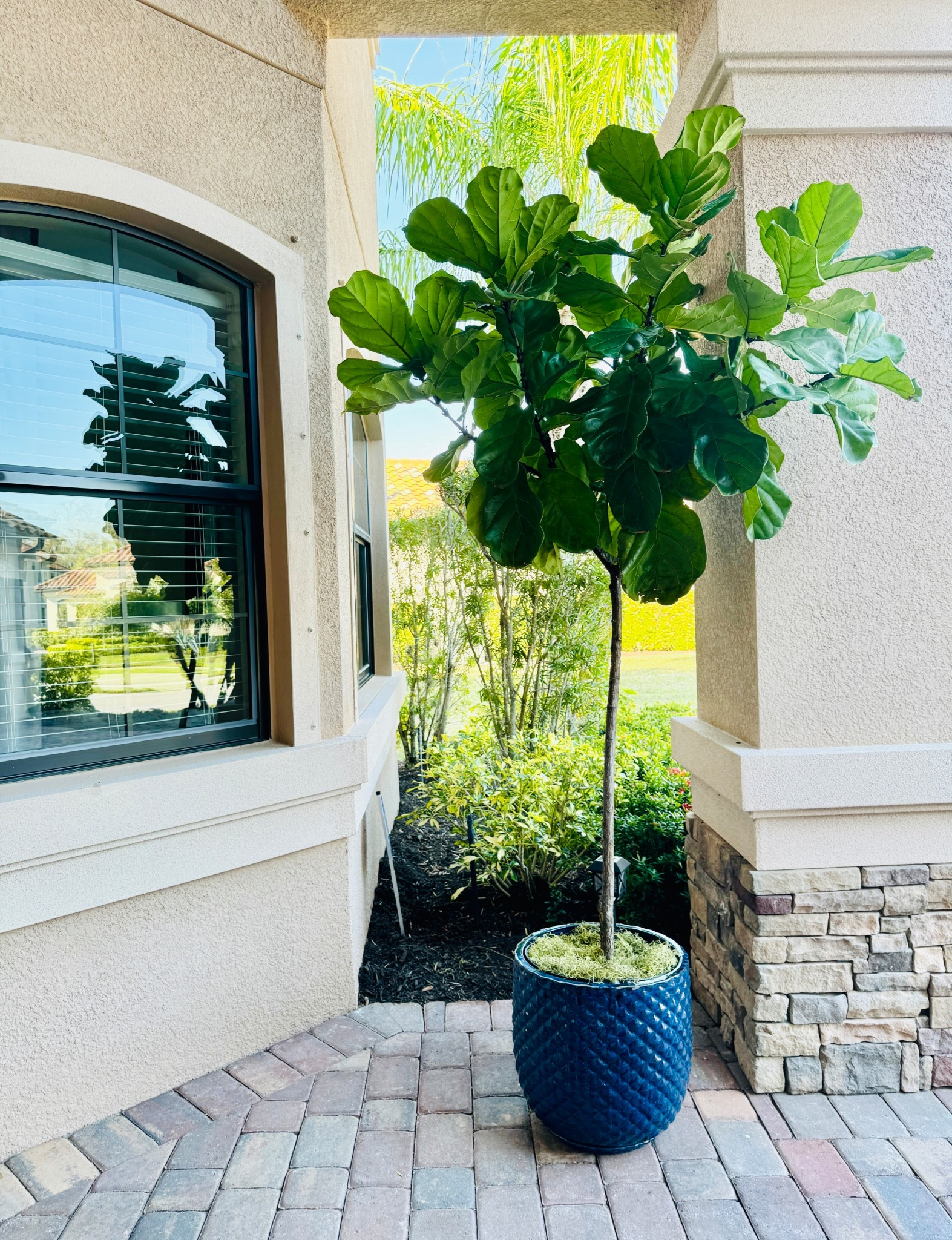 Heavy blue ceramic planter!

Indoor/ Outdoor Planter

#LTKHome