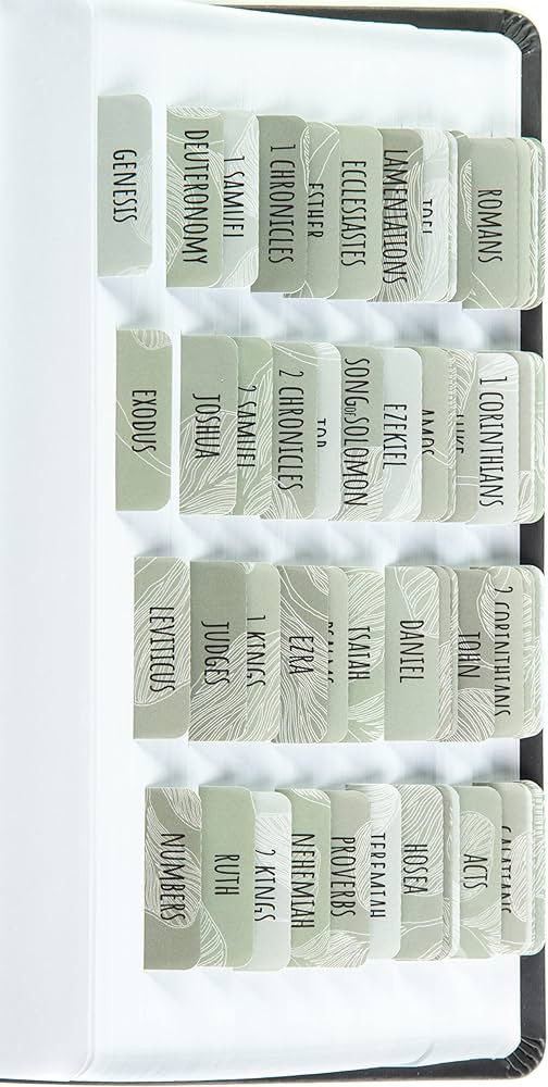 DiverseBee Laminated Bible Tabs (Large Print, Easy to Apply), Bible Study Journaling Supplies, 84... | Amazon (US)