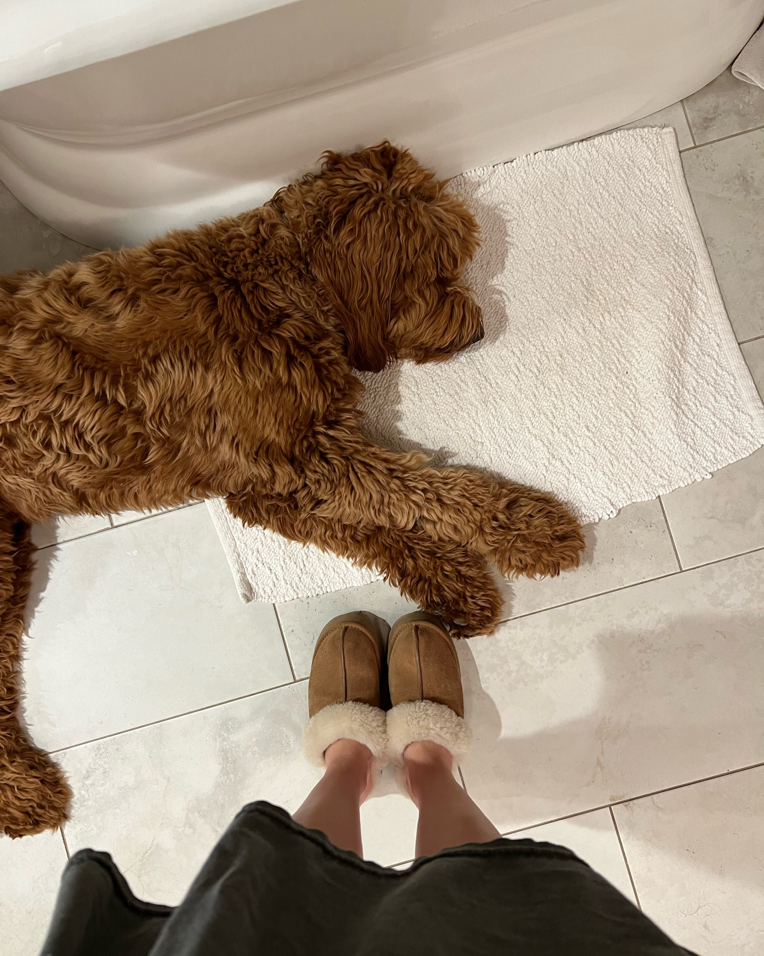 Coziest UGG slippers 🧸

#LTKshoecrush #LTKMostLoved
