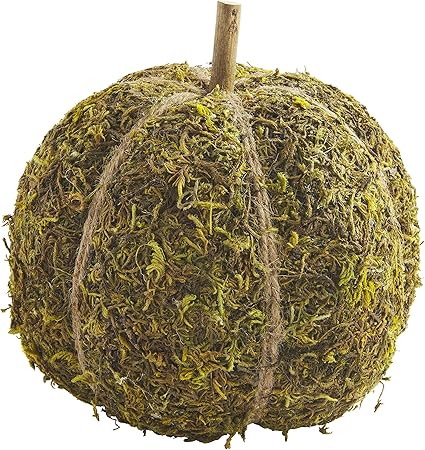 Mud Pie Preserved Moss Pumpkin, Large Table Sitters | Amazon (US)