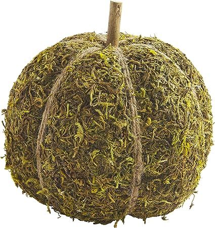 Mud Pie Preserved Moss Pumpkin, Large Table Sitters | Amazon (US)