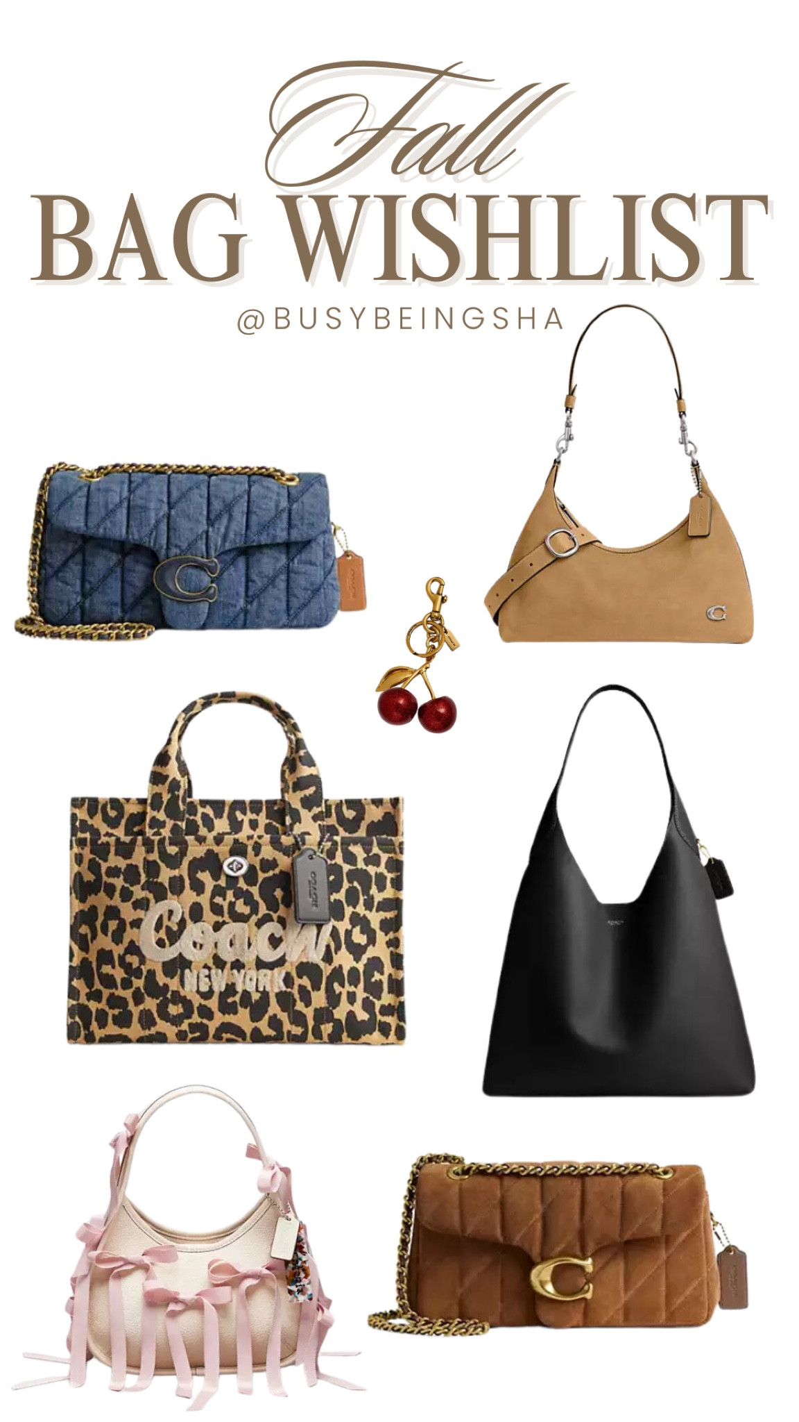 I’m a sucker for Coach bags 🍂 shop my fall bag wishlist featuring my favorite Coach handbags! #fall #coach #fallbags

#LTKStyleTip #LTKSeasonal #LTKItBag