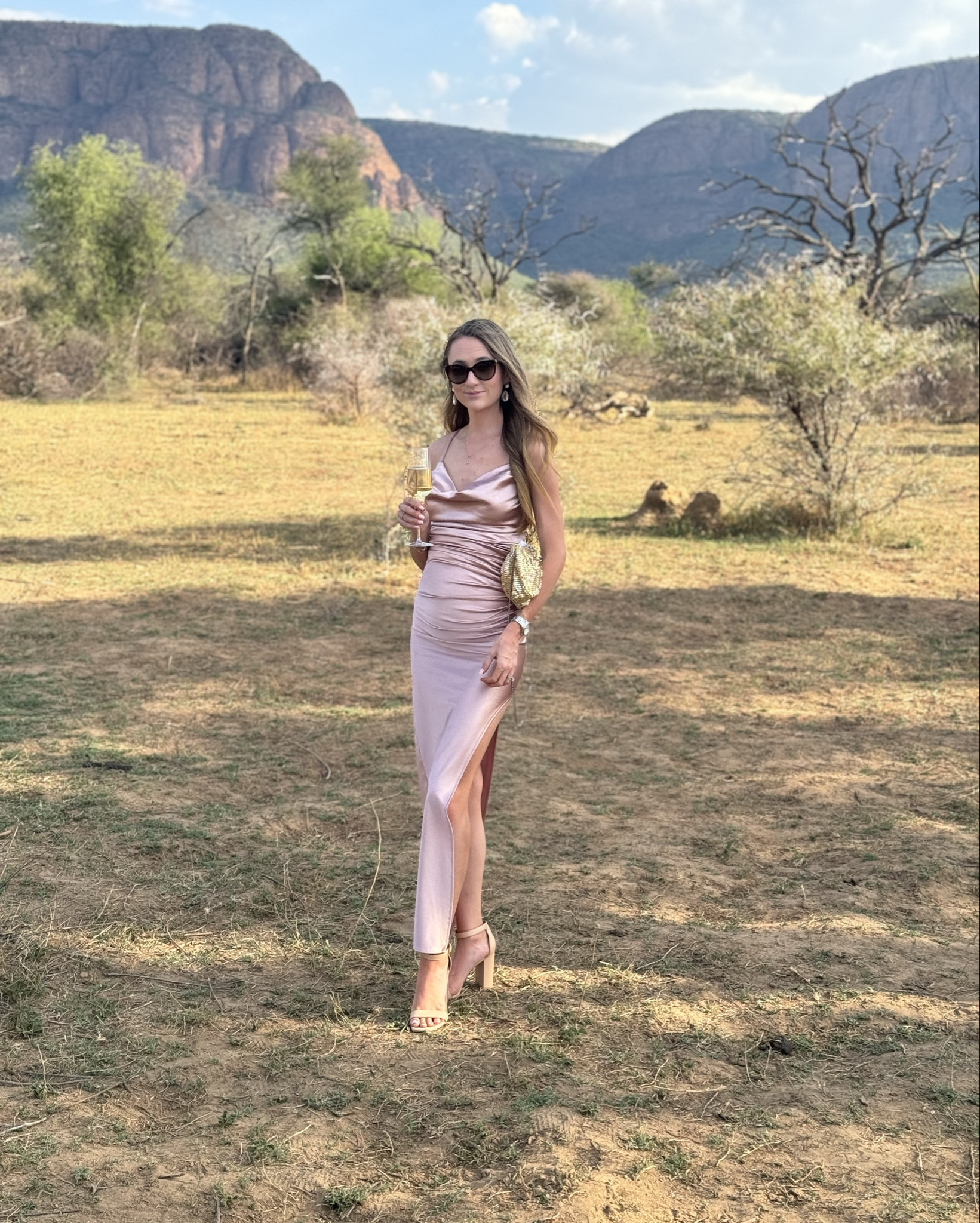 Wedding guest evening gown in blush pink

#LTKHoliday #LTKWedding #LTKParties