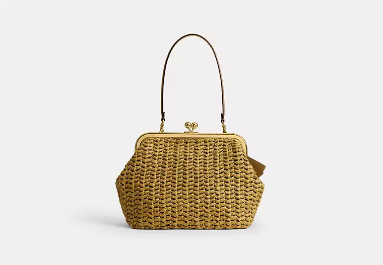 Kisslock Frame Bag 27 | Coach (US)