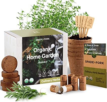 Indoor Herb Garden Starter Kit - Certified USDA Organic Non GMO - 5 Herb Seed Basil, Cilantro, Pa... | Amazon (US)