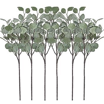 Artificial Greenery Stems 6 Pcs Straight Silver Dollar Eucalyptus Leaf Silk Greenery Bushes Plast... | Amazon (CA)