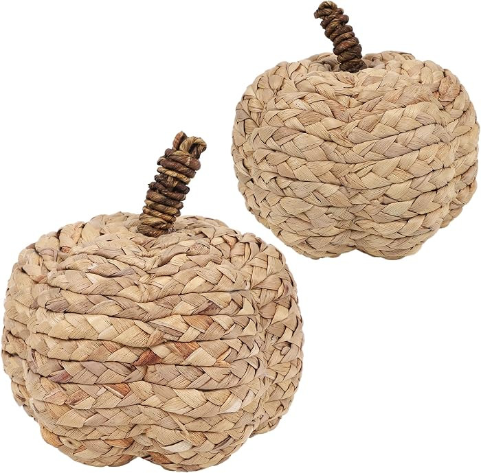 2 Pack Pumpkin Fall Decor, Woven Wicker Pumpkins for Home, Beige | Amazon (US)
