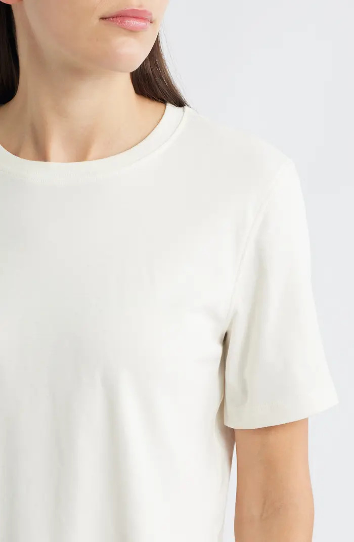 Crewneck Cotton T-Shirt | Nordstrom