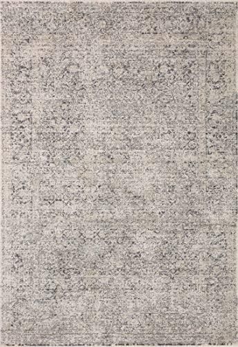 Amber Lewis x Loloi Alie Collection ALE-01 Stone / Mist, Traditional 2'-7" x 10'-0" Runner Rug | Amazon (US)