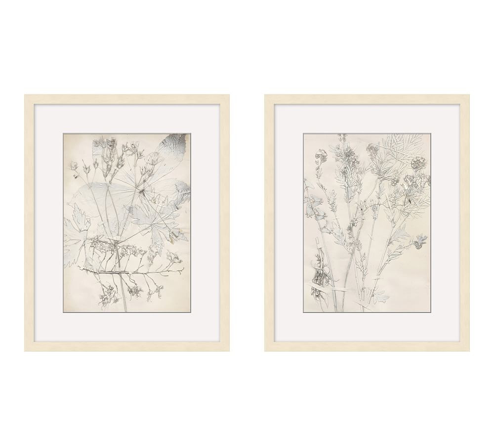 Ivory Foliage Prints | Pottery Barn (US)