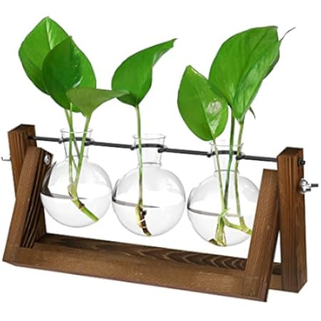 XXXFLOWER Plant Terrarium with Wooden Stand, Air Planter Bulb Glass Vase Metal Swivel Holder Retro T | Amazon (US)