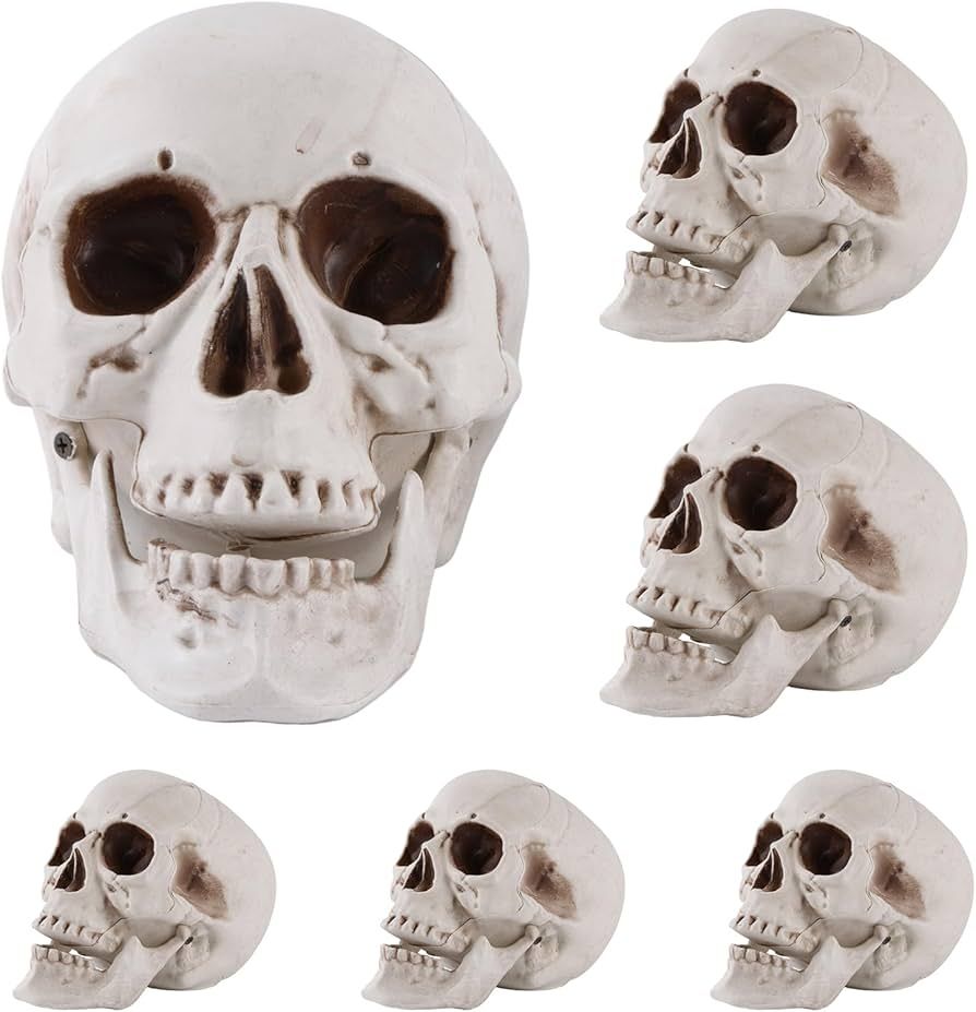 FONYFA 6 Pcs Halloween Human Skull Realistic Skeleton Decorations Head Skull Decor Human Head Bon... | Amazon (US)