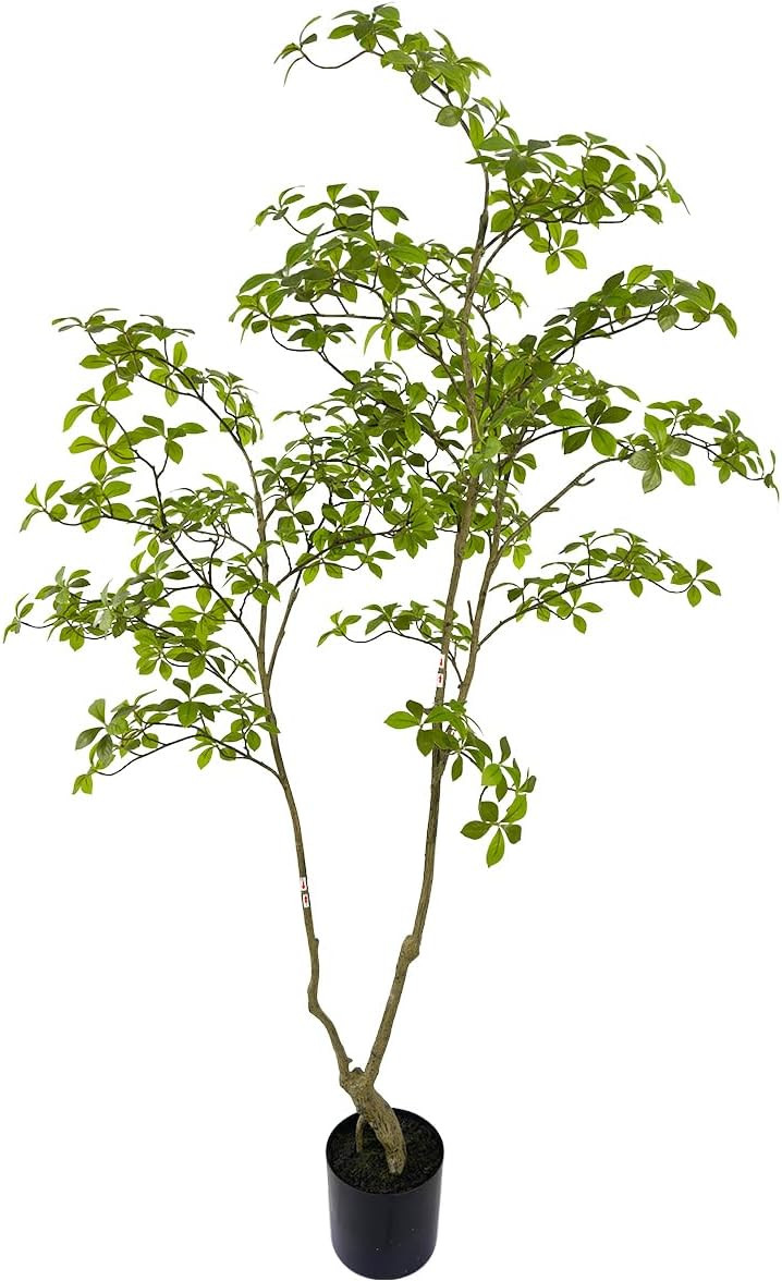 Artificial Gardenia Tree,6ft（1pack） Tall Fake Plants Artificial Mahonia fortunei Plants for I... | Amazon (US)