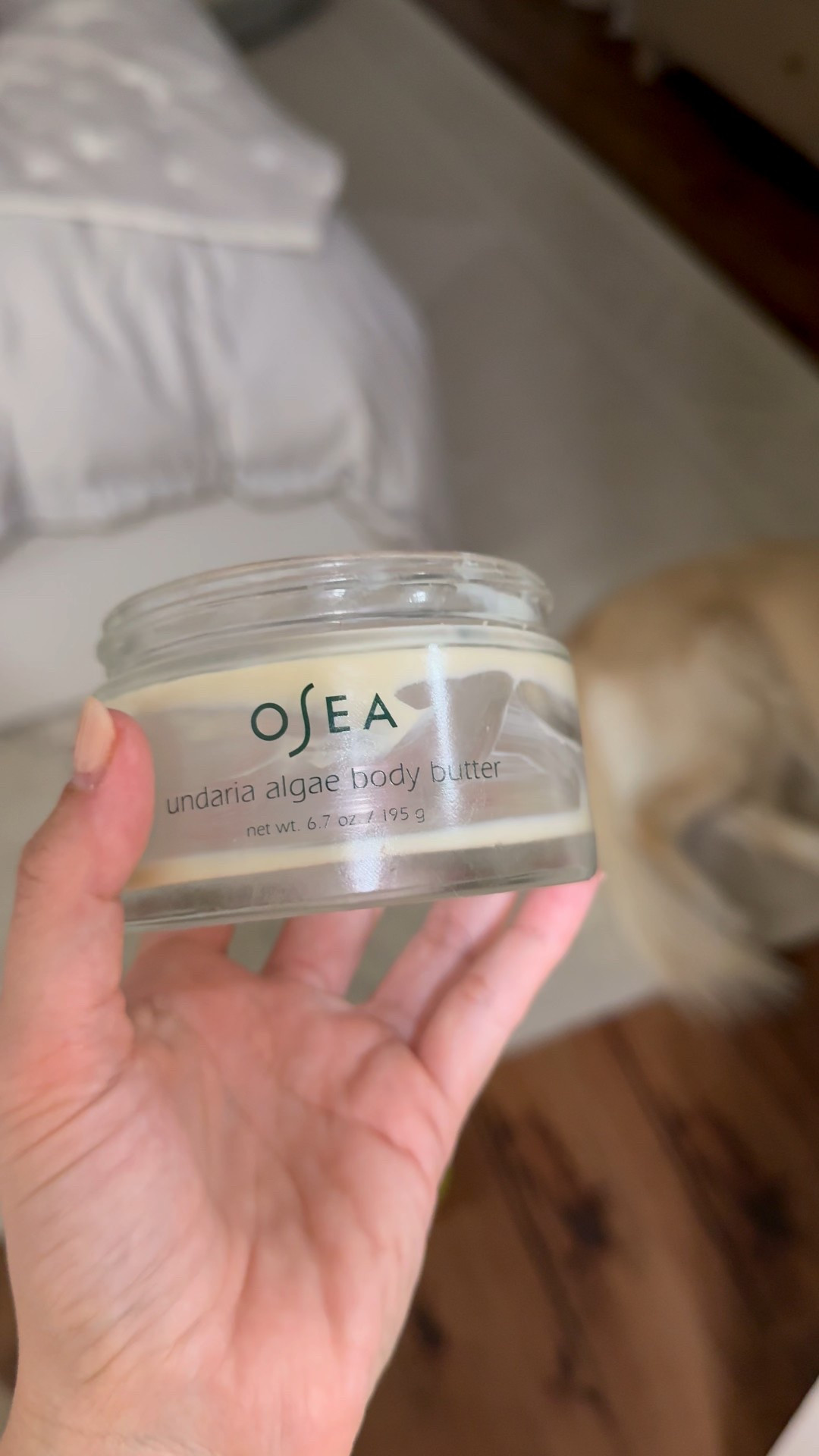 #LTKBeauty #LTKgrwm #LTKmorningroutine