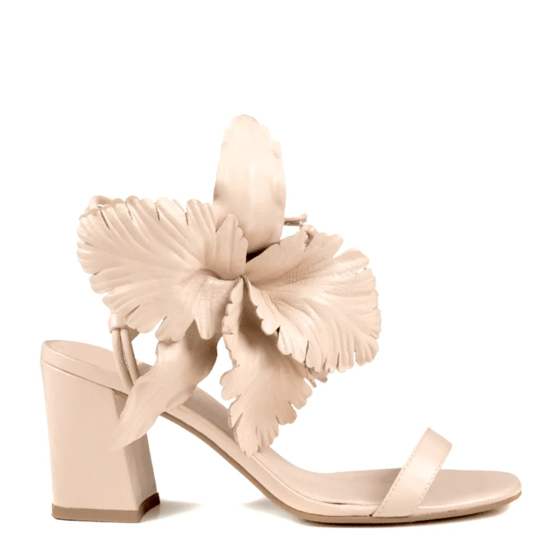 HIBISCUS | Cecelia New York