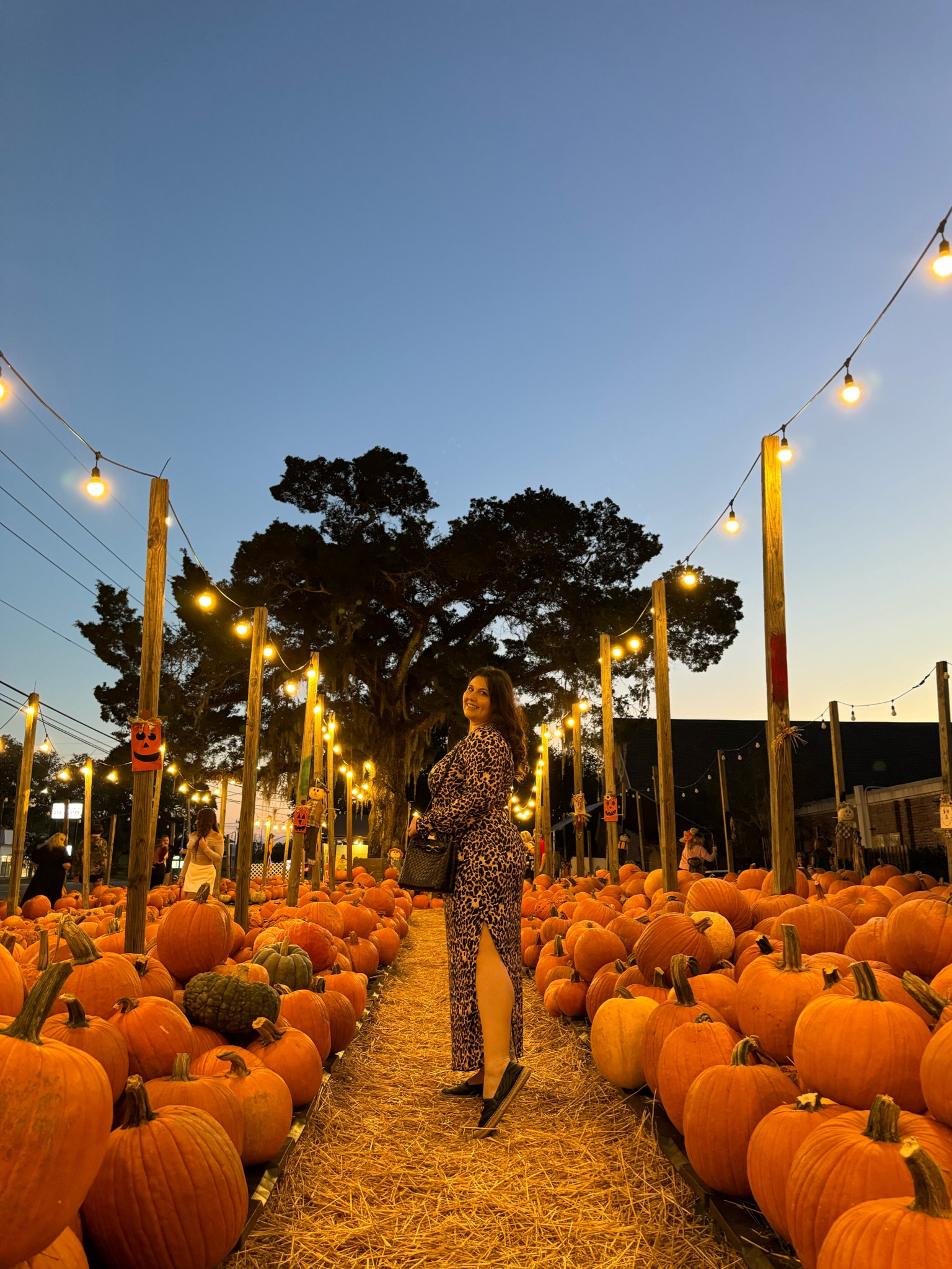 Pumpkin patch outfit
Maxi leopard dress


#LTKFindsUnder50 #LTKMidsize #LTKStyleTip
