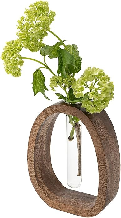 Modern Wooden Glass Test Tube Vase - Desk Plant Decor, Suitable for Home and Office Use | Amazon (US)