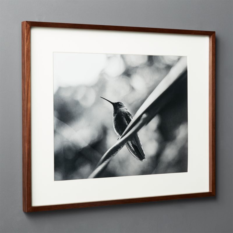 Gallery Walnut Modern Picture Frame with White Mat 16"x20" + Reviews | CB2 | CB2