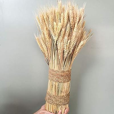 RoJuicy | Amazon (US)