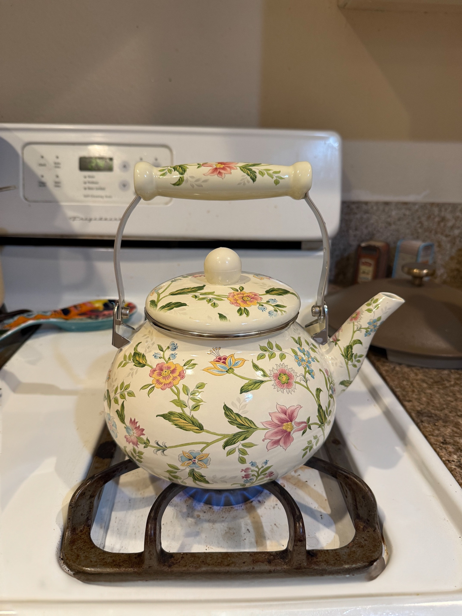Beautiful floral tea kettle 

#LTKSaleAlert #LTKFindsUnder50