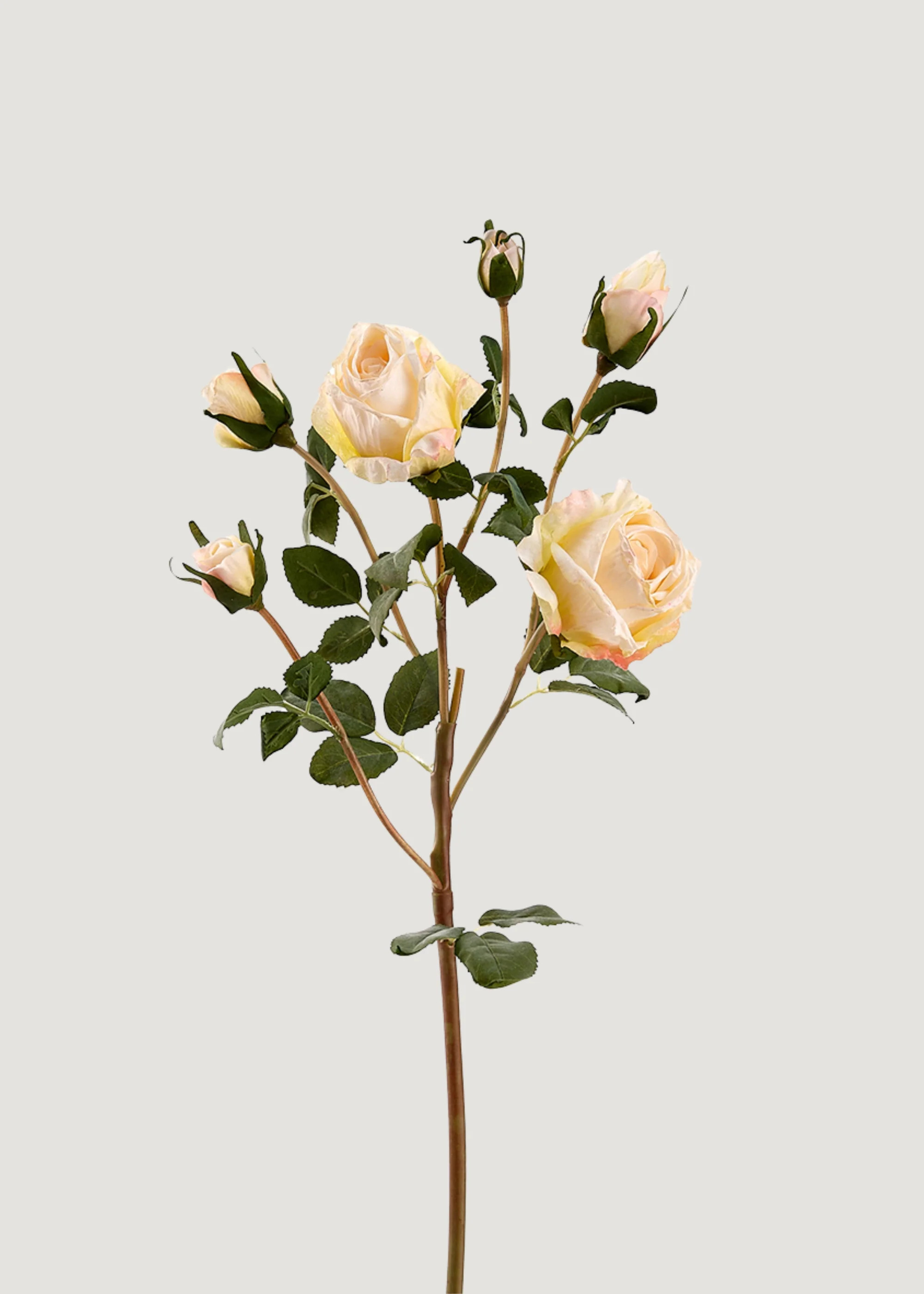 Dried Look Artificial Roses in Cream - 27.5" | Afloral