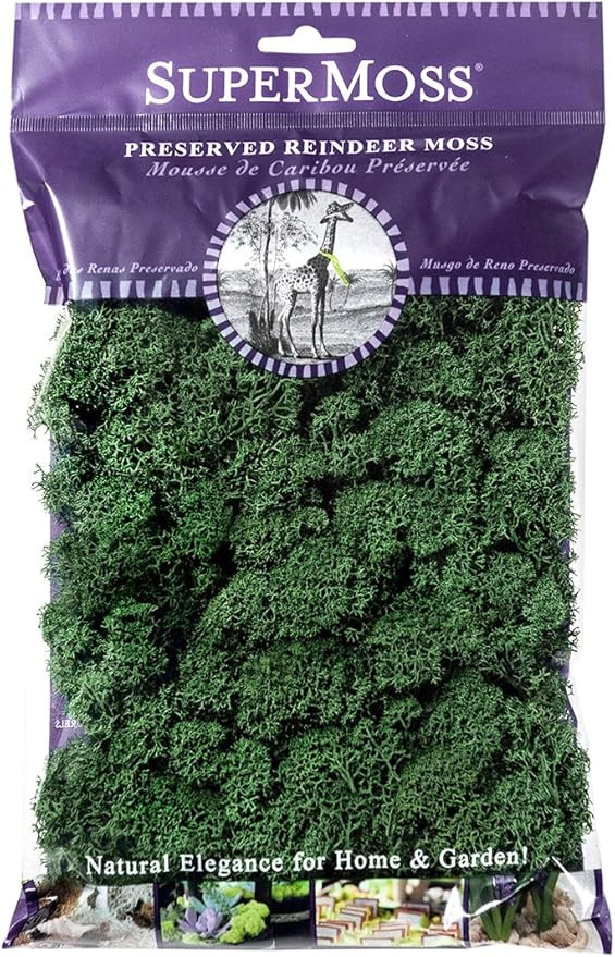 SuperMoss (21703) Reindeer Moss Preserved, Forest Green, 2oz | Amazon (US)