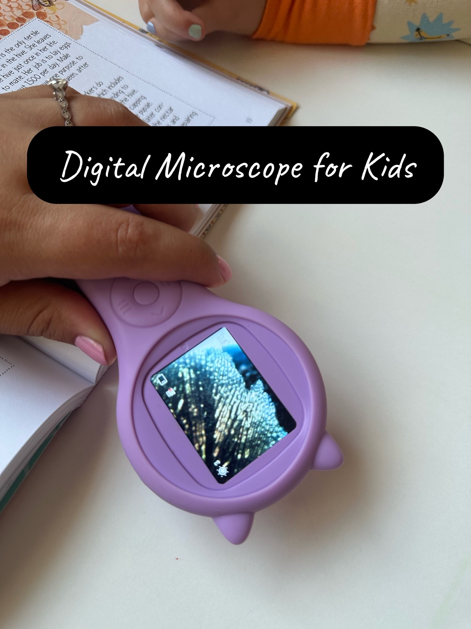 Our fave digital microscope 🔍🐞

#LTKKids #LTKdayinmylife #LTKmomlife