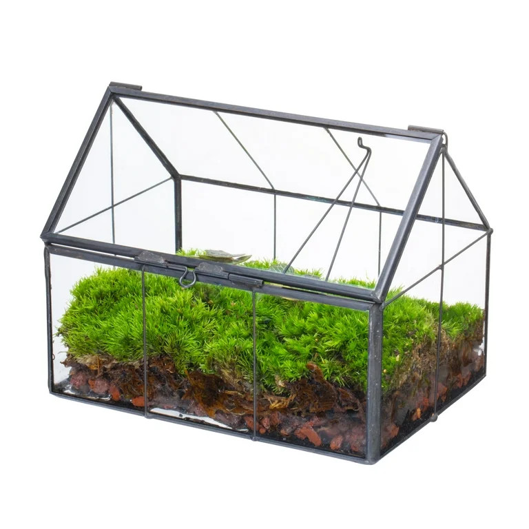 NCYP Handmade Mini Closed House Shape Terrarium with Lid and Latch, Terrarium Only | Walmart (US)