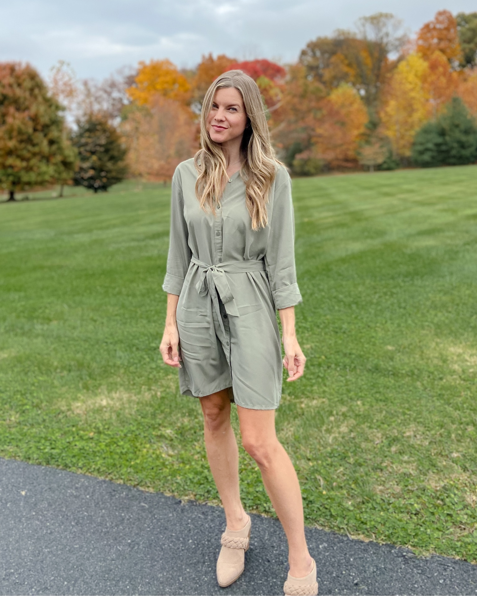 green emerald velvet dress Light Olive Denim Button Down A-Line Mini Dress