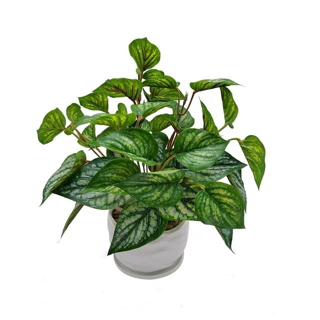 Mainstays 12.5"Height, Artificial Plant in Pot, Caladium, Green Color. - Walmart.com | Walmart (US)