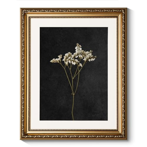 ARPEOTCY Vintage Gold Framed Wall Art, Retro Dark Dried Wildflower Paintings, Canvas Prints Artwork with Antique Frame, Victorian Wall Picture Decor for Room Gallery Living Room, 13x16 inch | Amazon (US)