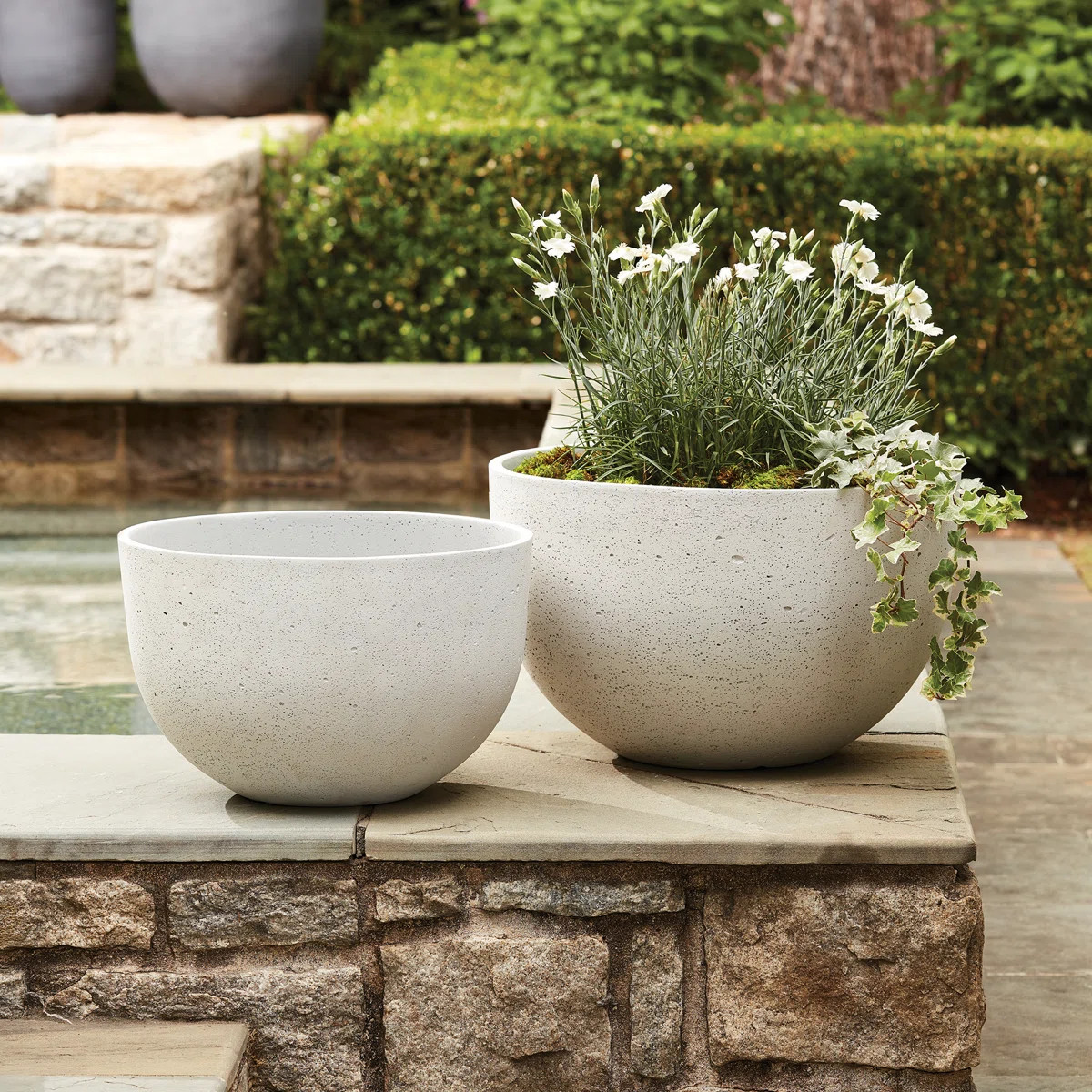 Mariana Lightweight Concrete Jesse Wide Pots in Limestone Wash (Set of 2) | Wayfair North America