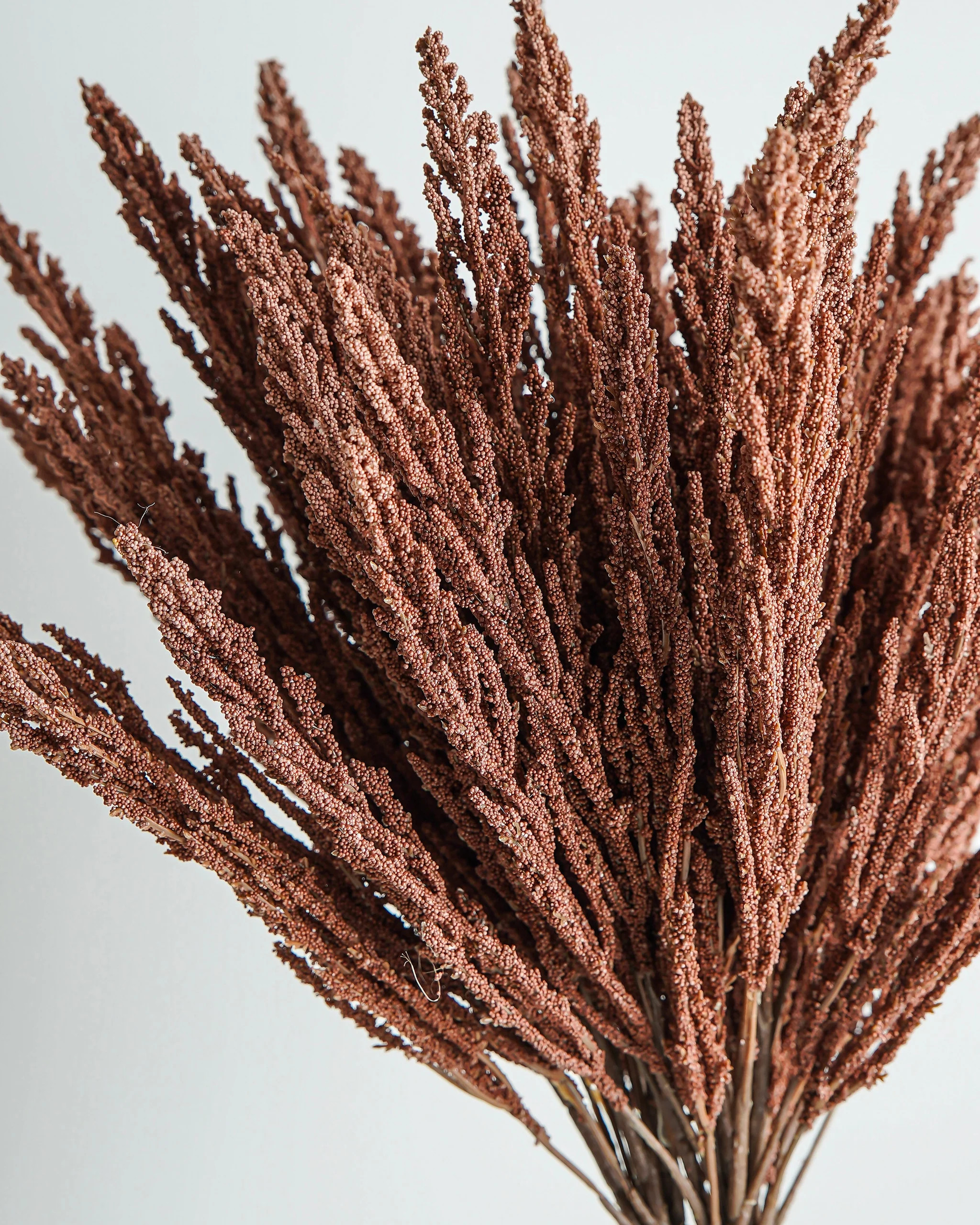 Mini Berries Bunch | Terracotta | MJHome