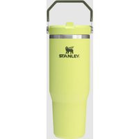 Stanley 30 oz IceFlow Flip Straw Tumbler in Prickly Pear | Glik's