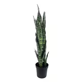31" Potted Snake Plant by Ashland® | Michaels Stores