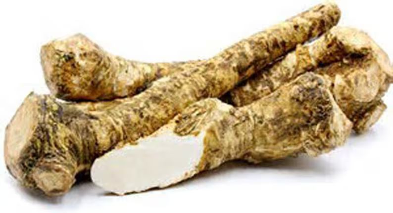 Horseradish Root Ready for Eating, Planting or Prepping, NO International Shipping, Horseradish C... | Etsy (US)