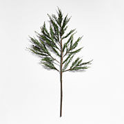 Extra-Large Faux Cypress Tree Stem 45" + Reviews | Crate & Barrel | Crate & Barrel