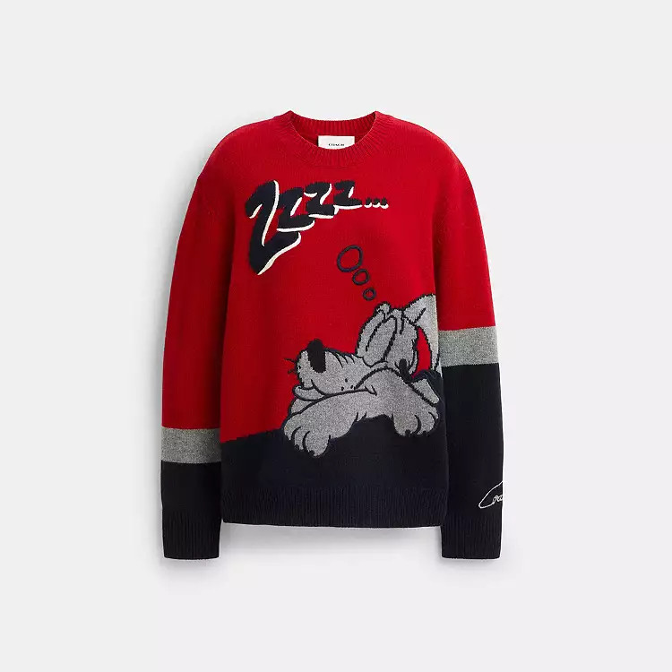 Disney X Coach Pluto Crewneck Sweater | Coach (US)