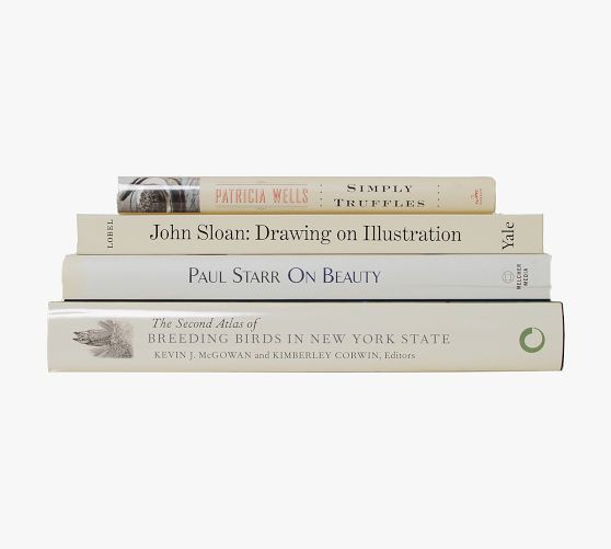 Modern Dust Jacket ColorStak Books - Set of 4 | Pottery Barn (US)