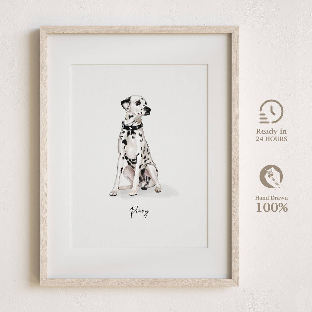 Pet Portrait Gift Hand Drawn Illustration | Not On The High Street